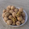 Turkish Indian dry fruit walnut for export