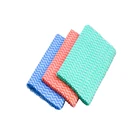 BSCI ISO9001 Household Cleaning Products Made of Kinds of Nonwoven Anti-bacteria Cleaning Cloth