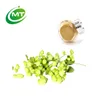 /product-detail/natural-hops-extract-hops-flower-extract-powder-62037002835.html