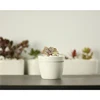 Hot Sale White Office Ceramic Cylinder Pot Plant Flower Succulent Pot