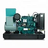 Open type or silent type Yangchai electric diesel generator 12 kw