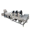 Vegetable and fruit washing machine process line stainless steel
