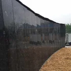 Verde Butterfly green granite price for polishing slabs and tiles