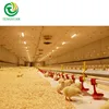 Farm Automatic Chick Duck Battery Layer Cage Water Nipples Equipment Price Poultry Nipple Drinker for Broiler Chicken