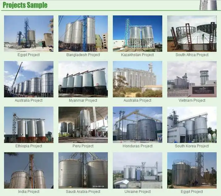 5000ton Grain Storage Silos for Flour Mill