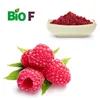 Freeze Dried Raspberries Extract Powder For Healthy Snacks/Factory Price Natural Raspberry Extract