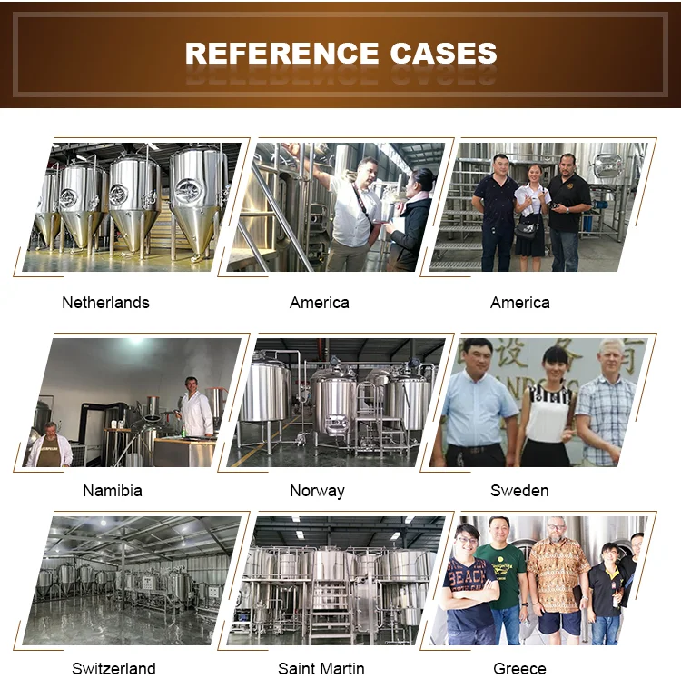 1000L 3 Vessel beer brewery project for beer plant