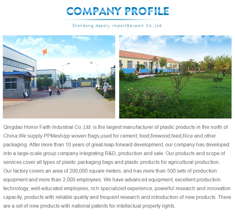 6 company profile.jpg