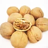 Natural organic in shell walnuts for wholesale raw walnuts bulk