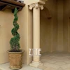 /product-detail/decorative-building-marble-stone-columns-house-pillars-designs-60818416582.html