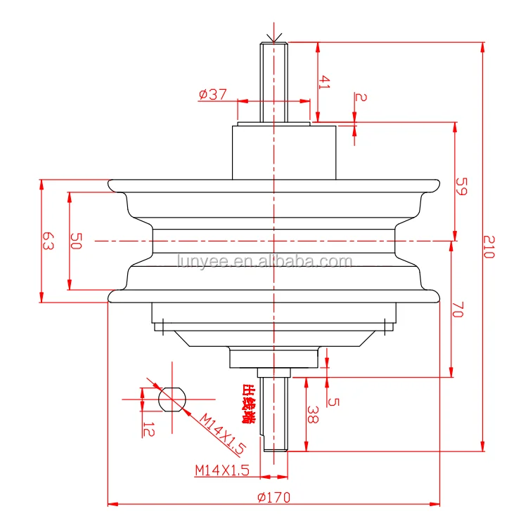 hub motor 1000w