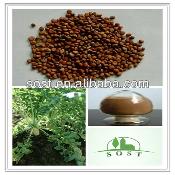 radish seed powder