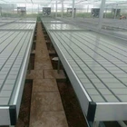 Greenhouse Hydroponic Ebb and Flow Bench Systems rolling bench