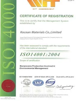 iso14001-2004