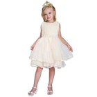 Kids Dress Lace Girls Dress Fashion Sleeveless Party Children Clothes Baby Princess Dress