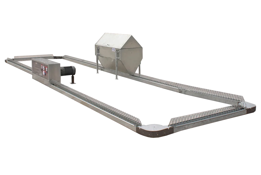 Goldenest patented breeder automatic chain feeding system farm poultry equipment for parent stock chicken layers