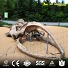 My Dino AS-001 Large Artificial Life Size Whale Skeleton for Display