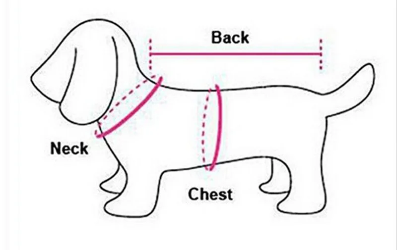 How to measure your pet