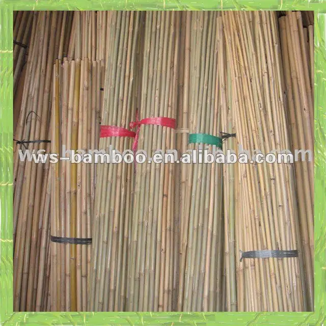bamboo poles buy