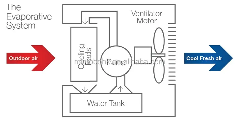 evapairdiagram