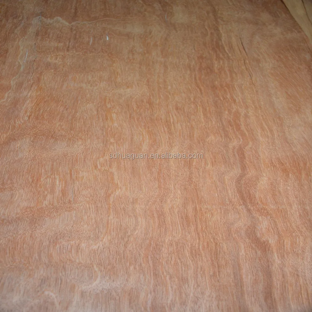 camphor burl/cedar wood veneer/face veneer