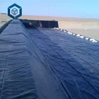 Permeable geomembrane pond liner in Kenya