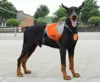 /product-detail/amazon-popular-dog-backpack-saddle-high-capacity-dog-hiking-backpack-for-large-dogs-62212476488.html