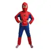 /product-detail/halloween-costume-party-cosplay-fancy-suit-boy-kid-toddler-spiderman-clothing-agq2099-60519093779.html