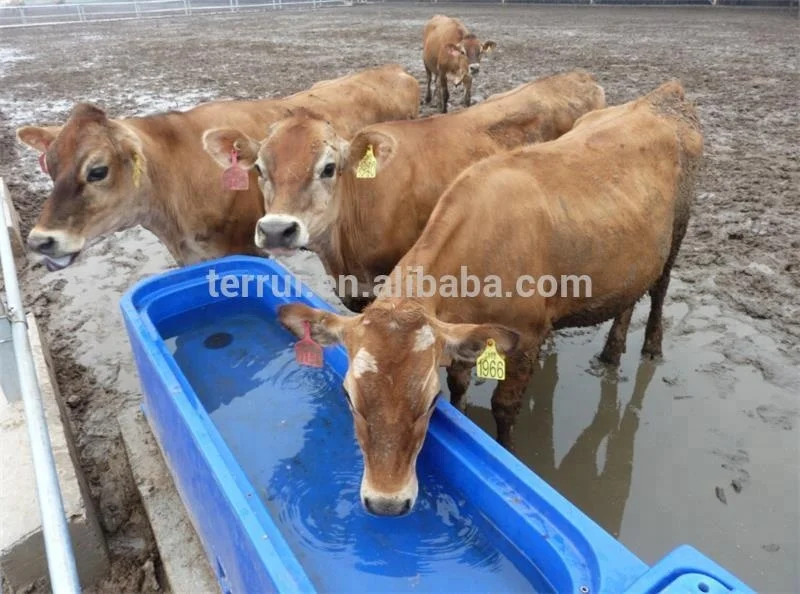 automatic water trough for cow cattle horse livestock animal