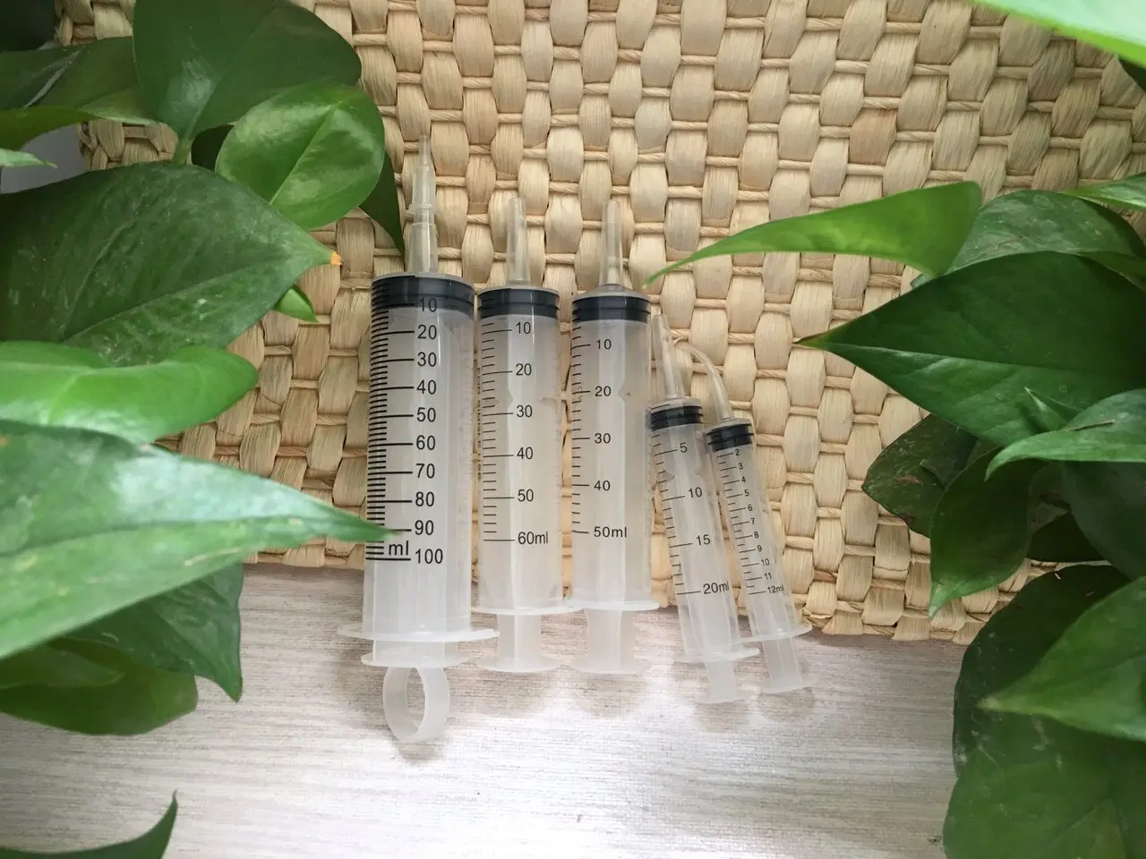 婴儿鹦鹉喂养注射器