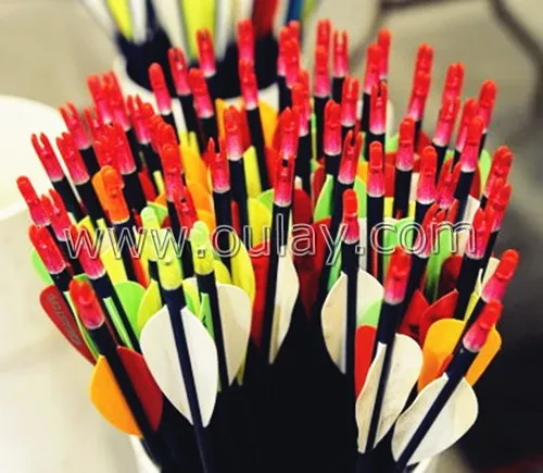imported pure carbon arrows.jpg