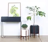 living room indoor plants wooden bamboo cement flower pot
