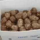 Taro Taro Fresh Chinese Taro For Sale