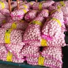/product-detail/fresh-chinese-pure-white-garlic-import-china-garlic-good-farmer-garlic-60677048164.html