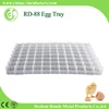 /product-detail/factory-supply-plastic-egg-tray-for-incubator-60117955852.html