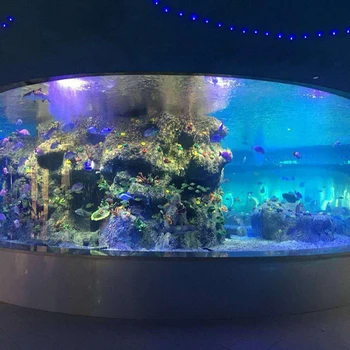 aquarium tank price