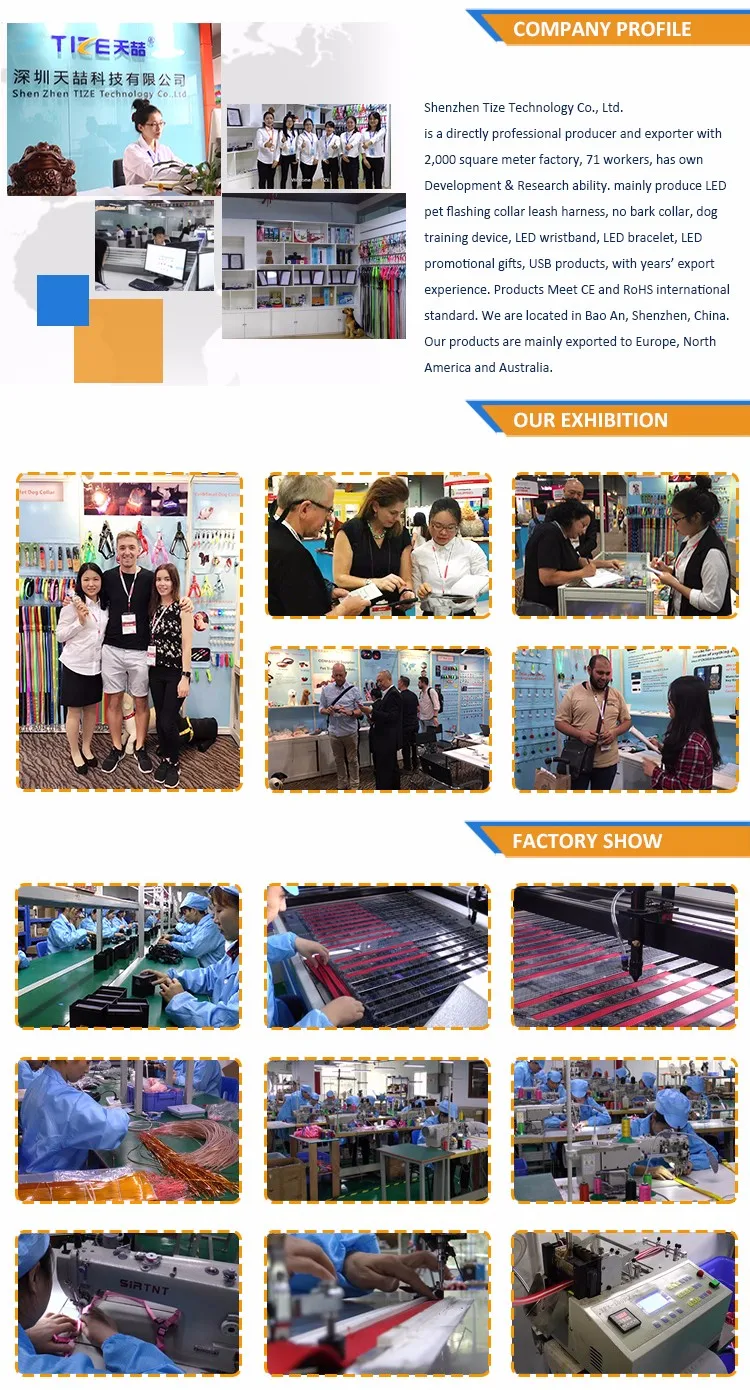 factory & exhibition_dog traning products.jpg