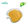 Pure Natural Milk Thistle Extracts Powder Silybin+Isobilybin (HPLC)