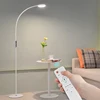 Cnlight High Quality Energy Saving Home LED Chrome Finish Remote Control Floor Lamp