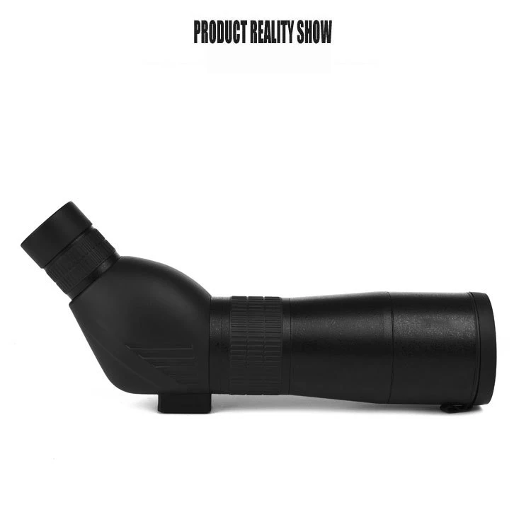 6616611879_2108484305