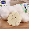 /product-detail/wholesale-price-fresh-garlic-importer-for-exportation-60574366884.html