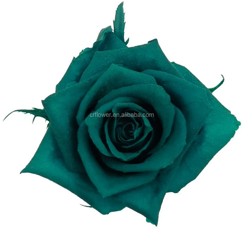 grade a natural preserved fresh rose flower from