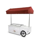 Small Ice Cream Cart Hot Sale Small Mobile Soft Serve Hand Push Ice Cream Cart Freezer Bike Bicycle Truck