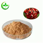Competitive price Caffeine powder 10% 20% form Guarana Extract