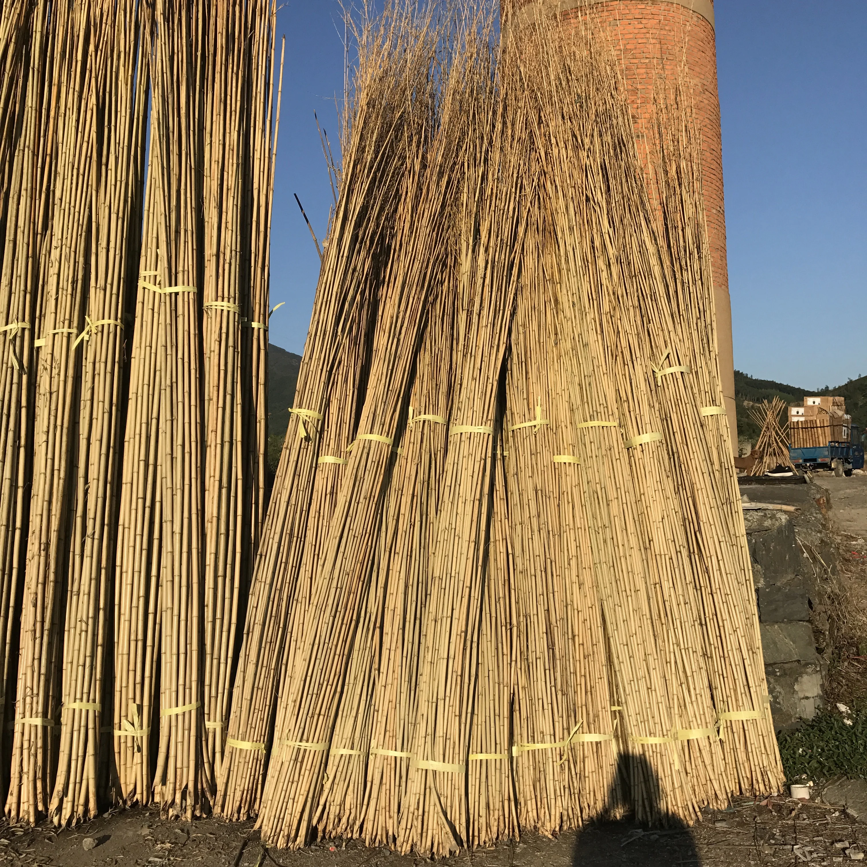 FDZ 0098 Haute Qualité poteaux en bambou naturel pour le matériel d'échafaudage Avec Prix Compétitif