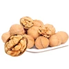 chinese walnut shells