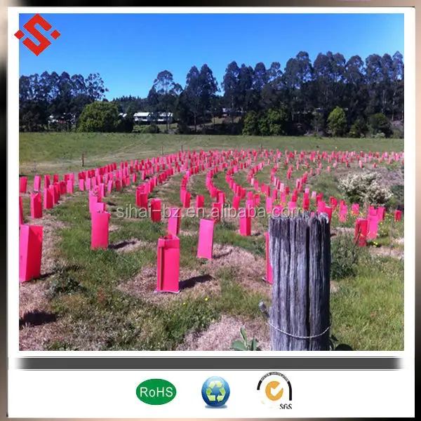 seeding tree plant protect tree guards