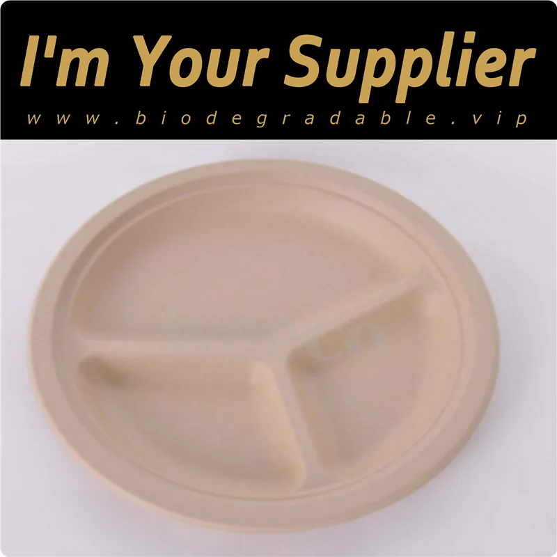 Eco biodegradable paper divided dishes divided round food lunch plates