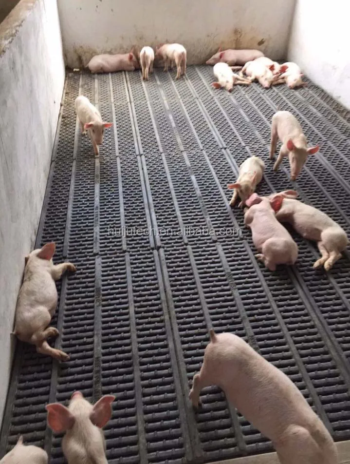 pig mat.3.jpg