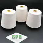 Silkworm Cocoon Yarn 120NM/2 Wholesale For Knitting Machine,100% silk,Ring Spun,Normal Grade,Free Samples,SPO